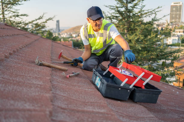 Best Hoarding Cleanup  in Jonesville, MI